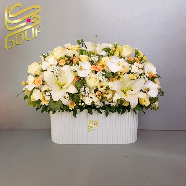 باکس گل تبریک هدیه عاشقانه تولد ارسال رایگان زیبا لاکچری ارسال فوری سریع گل فروشی آنلاین گل فروشی گلیف جعبه گل زیبا لاکچری آنترویم لیلیوم ارکیده